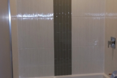 Bathroom reno